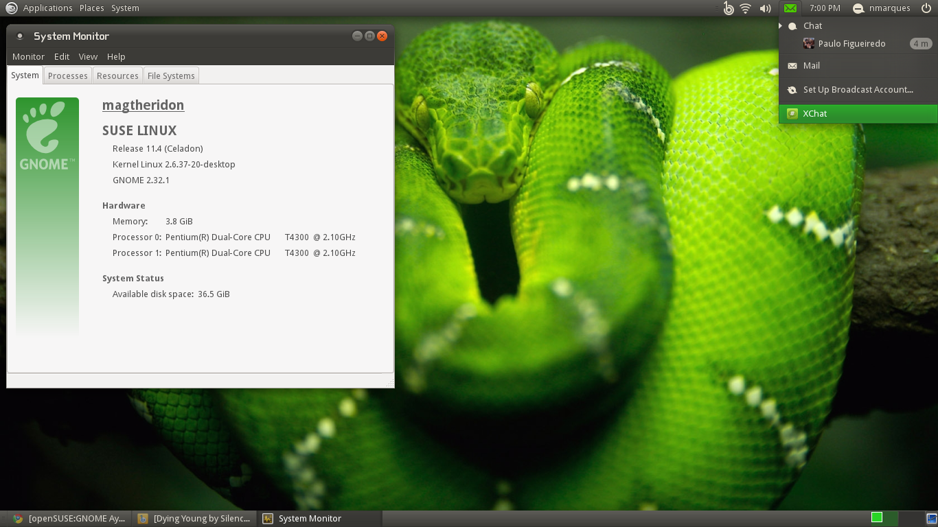 openSUSE 11.4 with GNOME:Ayatana